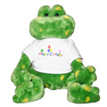 Frog Bear looks good in his Happy Birthday T-Shirt.