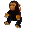This cheeky little monkey is a steady favourite! A real curious George - sooo cute!